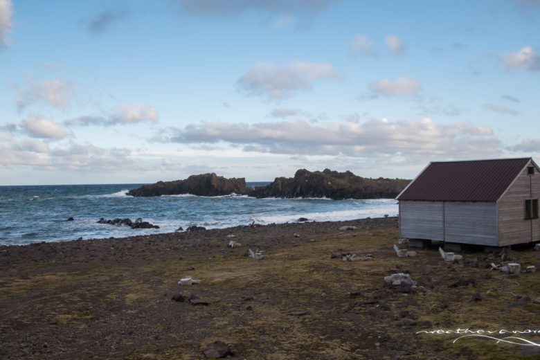 Baza terenowa Demay, fot. Marek Figielski