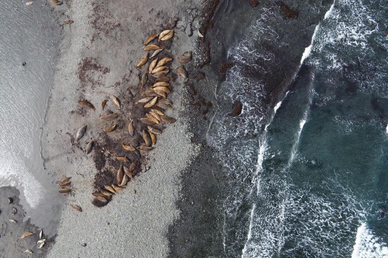 Monitoring ekologiczny