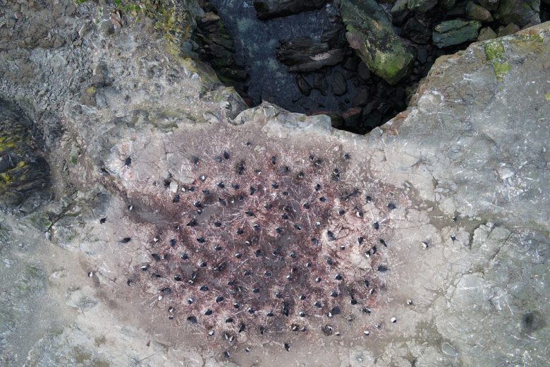 Monitoring ekologiczny