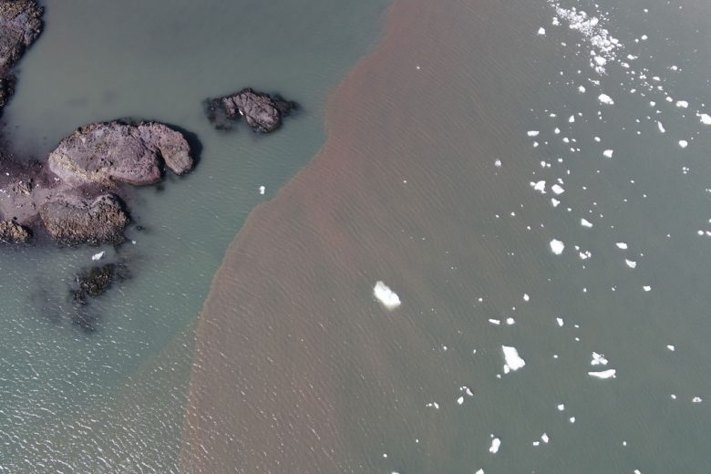 Monitoring oceanograficzny